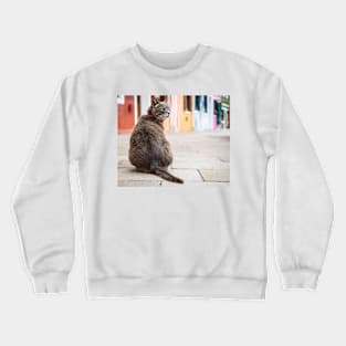 Cat Crewneck Sweatshirt